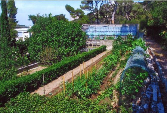 Domaine-de-lHermitage-Massif-des-calanques-Luminy-Marseille-FABRE-ARCHITECTE-EURL-5